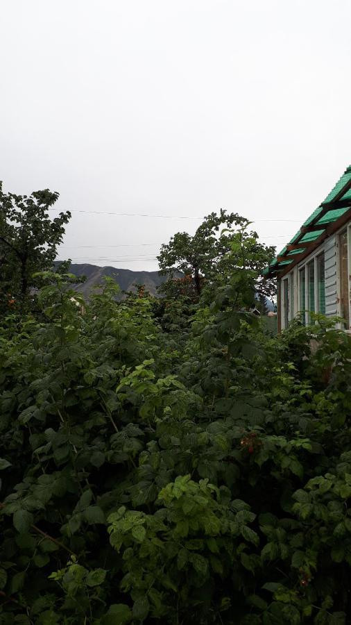 Nurgul Hotel Bokonbayevo Bagian luar foto